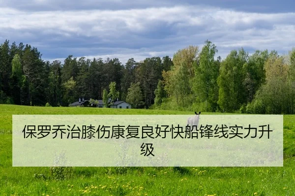 bao-luo-qiao-zhi-xi-shang-kang-fu-liang-hao-kuai-chuan-feng-xian-shi-li-sheng-ji-2-643.jpg