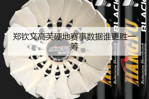 郑钦文高芙硬地赛事数据谁更胜一筹